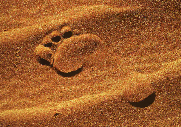 Footprint