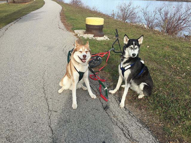 Luna and Colt with kick bike